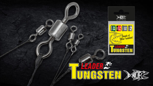 Tungstène LEADERS – Image 5