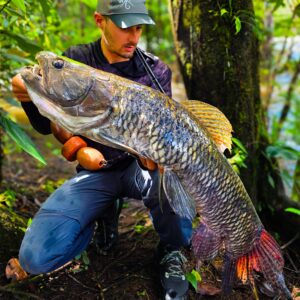 Canne Bone Voyage Expedition Aimara