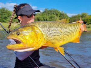 Canne Bone Voyage Expedition Dorado