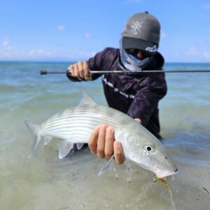 Canne Bone Voyage Saltfinesse Lite