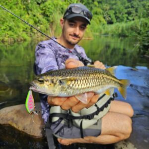 Canne Bone Voyage Stream Special Guadeloupe Mulet de montagne