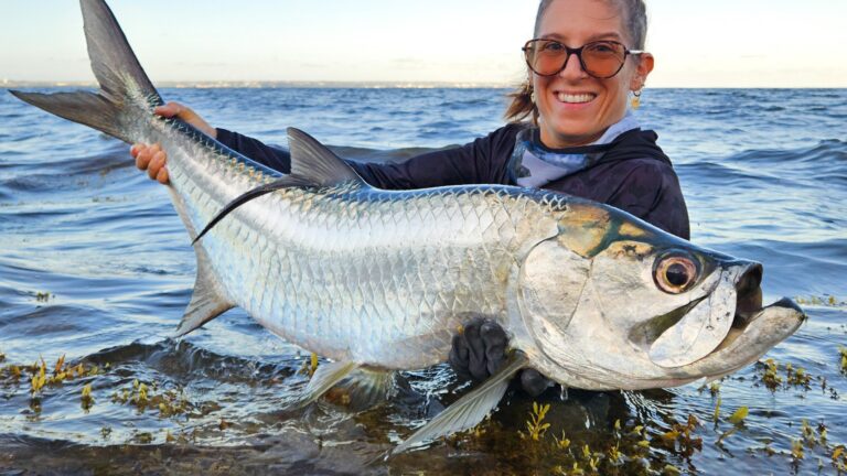 Canne à pêche de Voyage - La gamme Bone Fishing World.