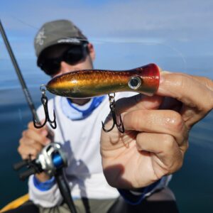 Madd Mantis Cherry Popper Pêche exotique