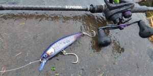 Jerkbait minnow pour pêche exotique légère