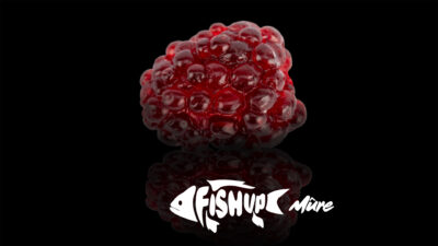 Fishup Mure Détail 1