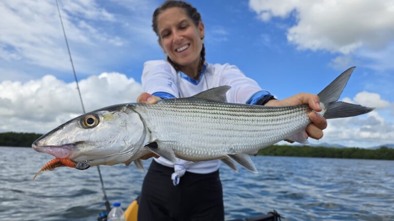 FishUp Tanta : la Tantatisation !