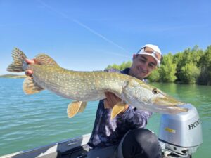 Bas de ligne brochet