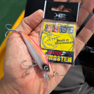 Bas de ligne leader tungsten