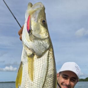 Bas de ligne pour la pêche