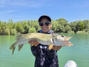 Bas de ligne pour le brochet