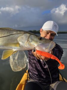 Leurre souple TTshad pour la pêche du snook
