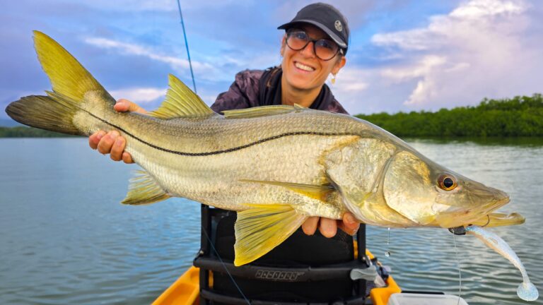 Pêche du snook au leurre souple : notre sélection en 2026