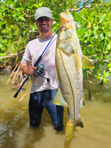 Stabi Shad pour la pêche du snook