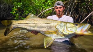 snook pêché au leurre souple
