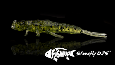 stonefly