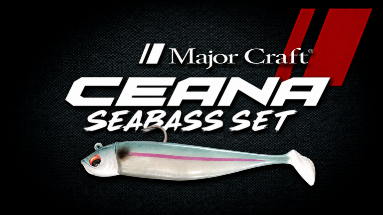 TIDRIFT SEABASS SHAD SET