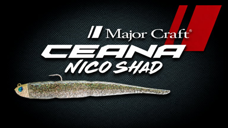 CEANA NICO SHAD SET