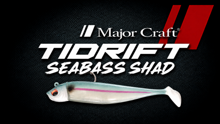 TIDRIFT SEABASS SHAD SET