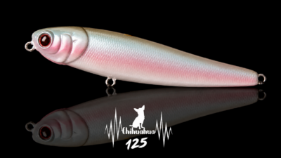 chihuahua 125